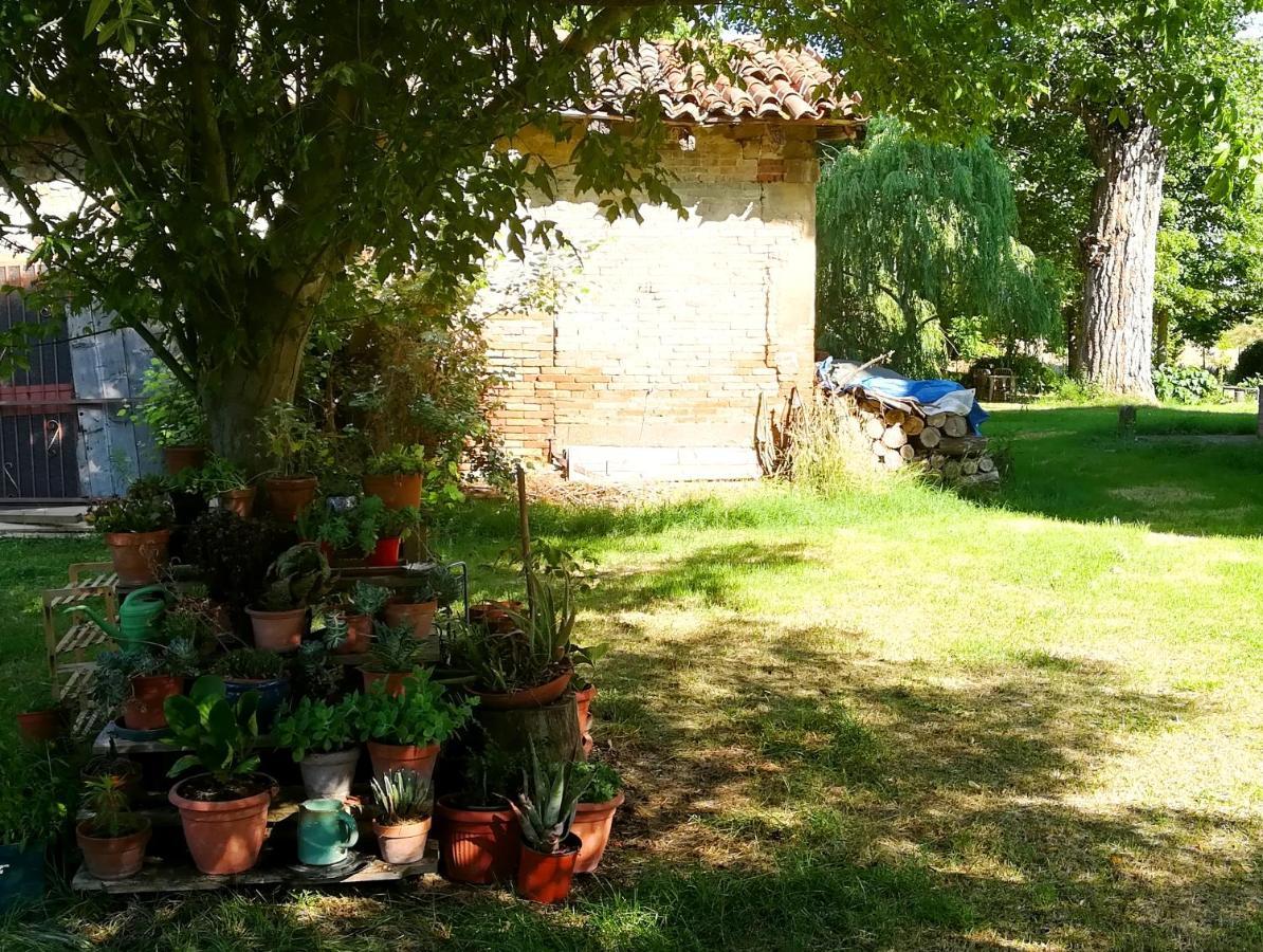 Il Boschetto Di Morgana Bed & Breakfast Castel San Pietro Terme Exterior photo